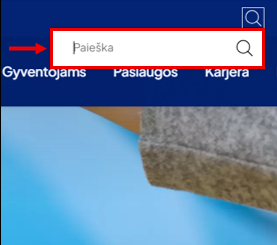 internetinio puslapio nuotrauka su nuoroda į paieškos langelį