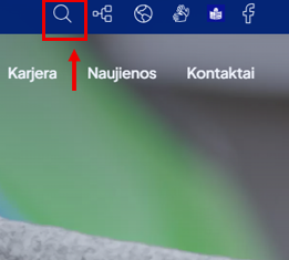internetinio puslapio nuotrauka su nuoroda į paieškos simbolį